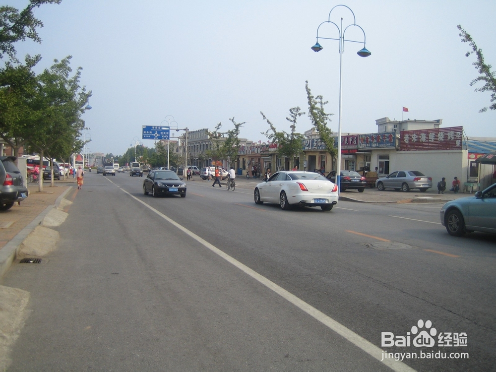 怎样告诉孩子安全过马路--37