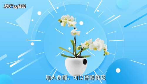 鲜花如何保鲜？