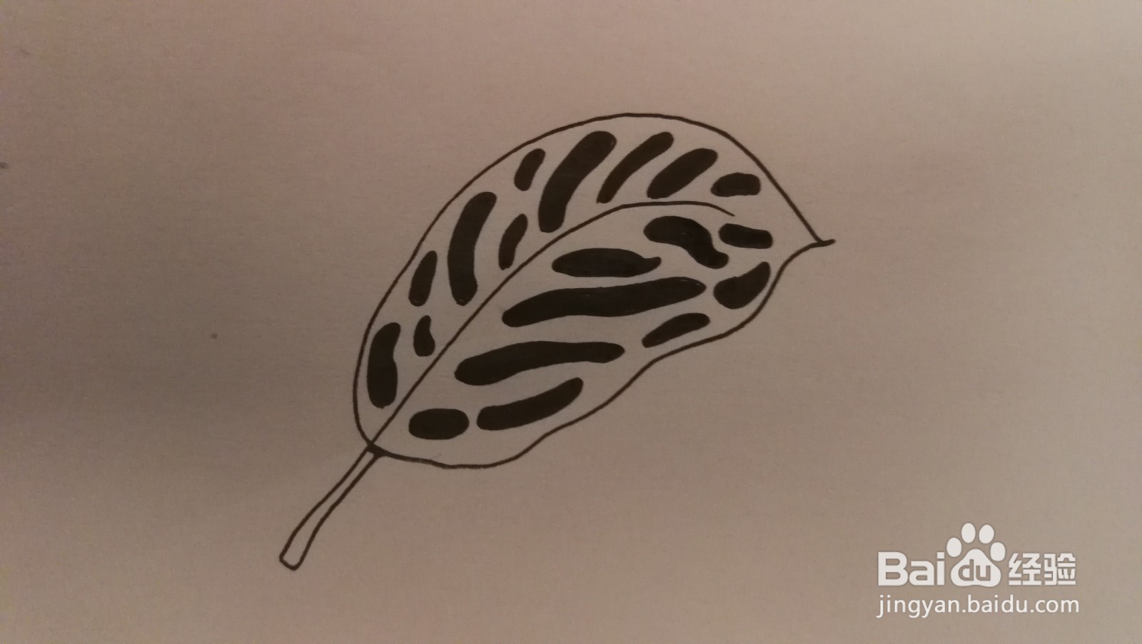 #经验分享官#黑白洞洞叶子简笔画