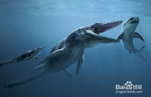侏罗纪最强的海洋生物是哪些？强在哪？