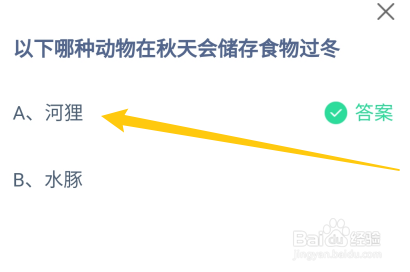以下哪种动物在秋天会储存食物过冬？蚂蚁庄园