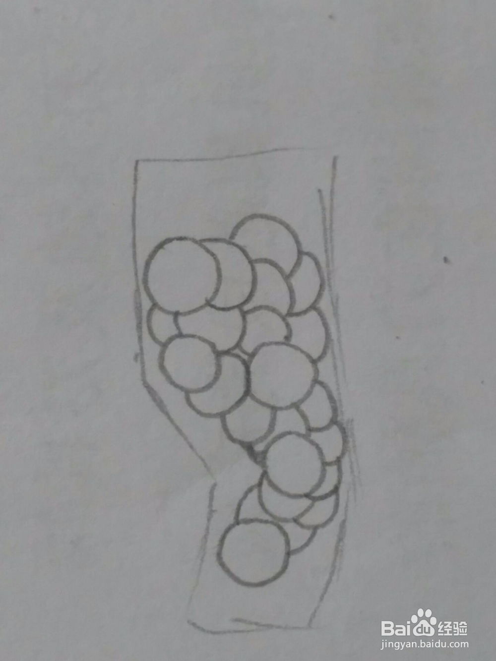 葡萄 简笔画 详细步骤教程