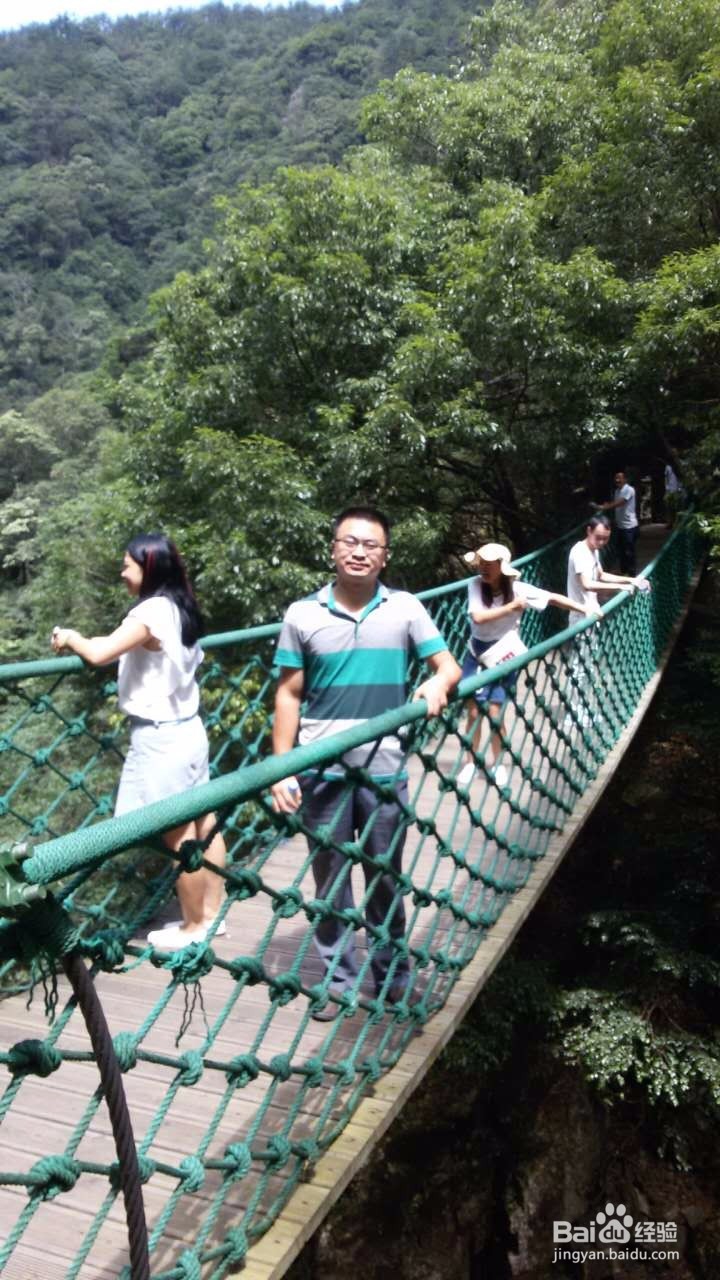 长寿之乡庆元行攻略