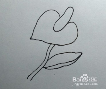 简笔画：花卉画法教程