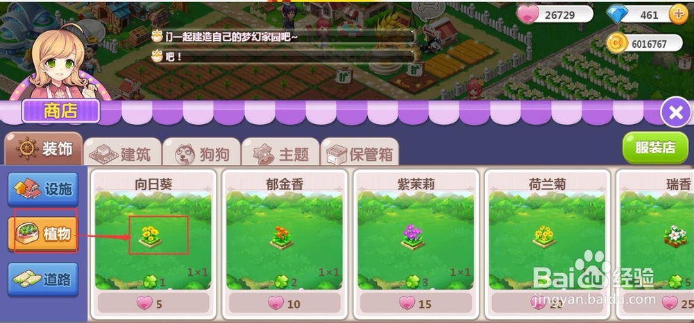 怎样购买植物向日葵？