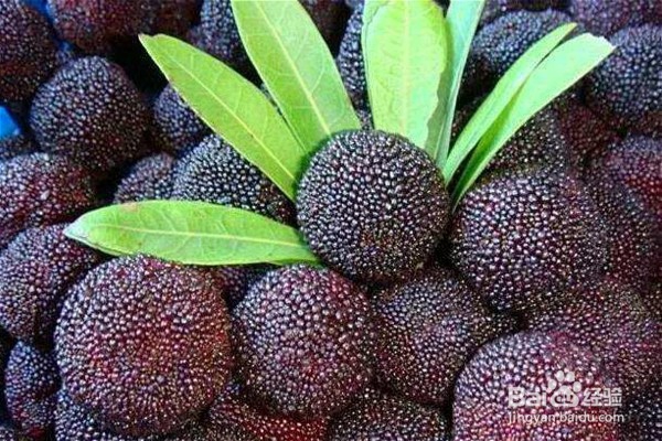 到汕头不容错过的8种特色美食