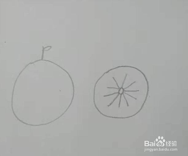 橘子的创意简笔画