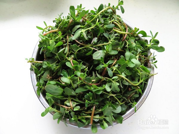 如何做出好吃的凉拌马齿苋