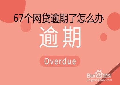 67个网贷逾期了怎么办