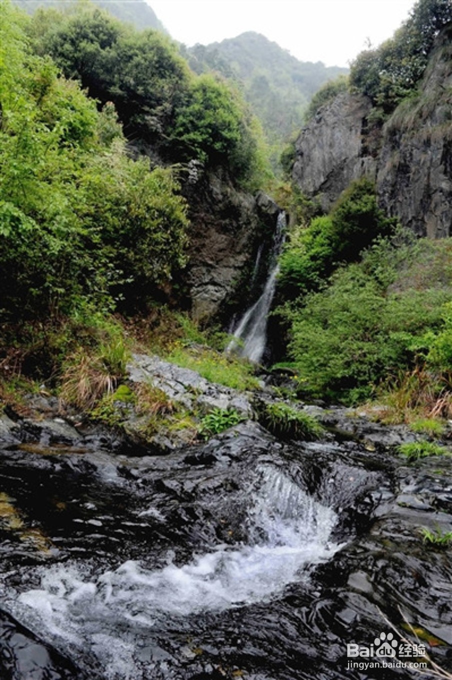 千岛湖旅游记