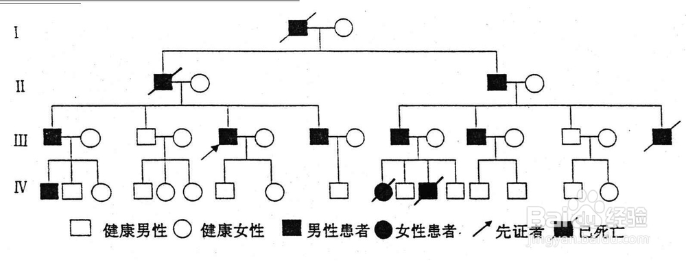 什么原因导致的共济失调?