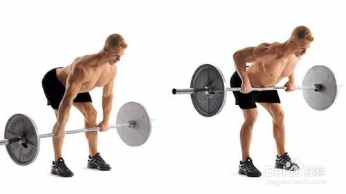 为什么训练量和原来一样 肌肉不生长了