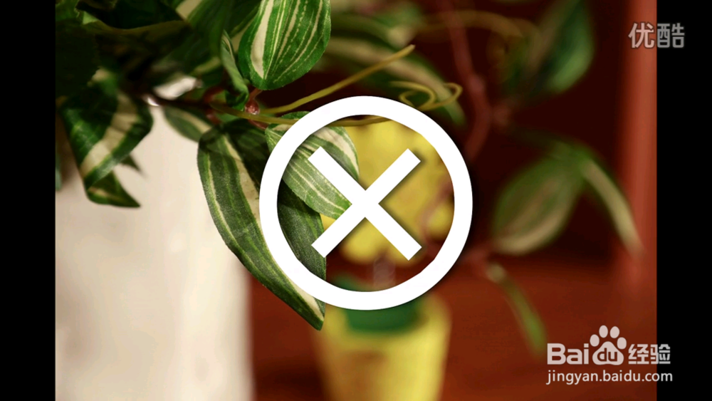 为什么对焦不清楚呢