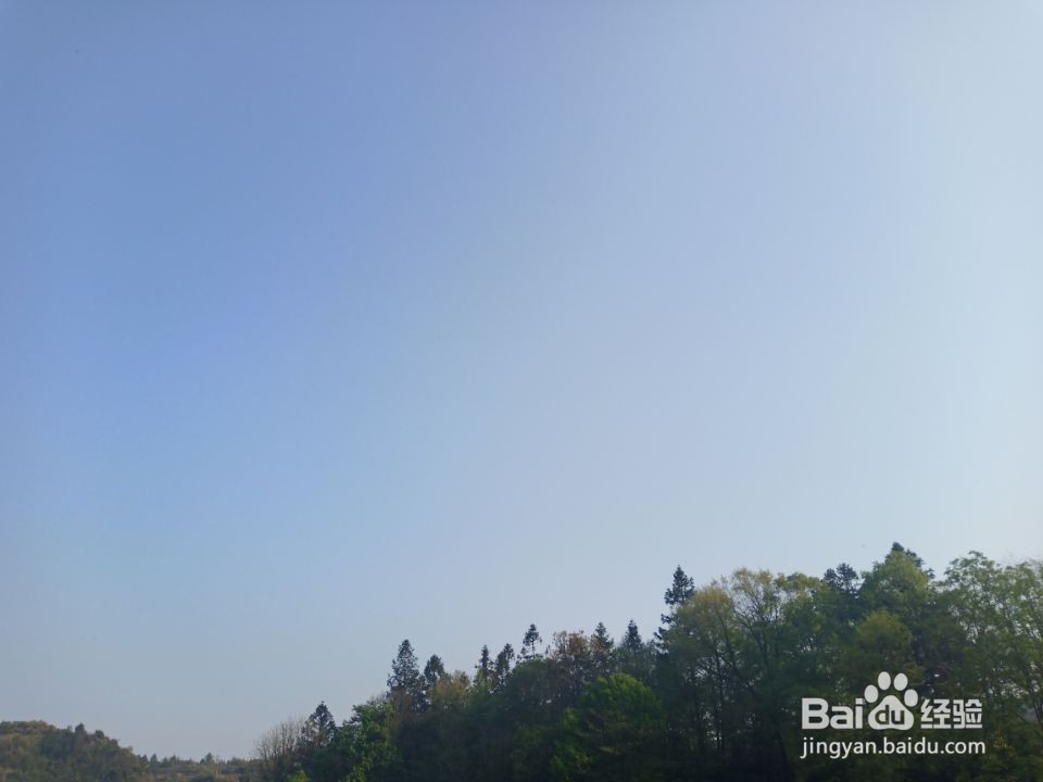 如何形成好的公共生活