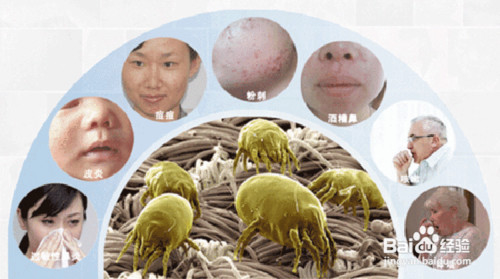 除螨仪有用吗紫外线除螨机吸尘器怎么样