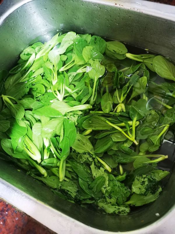 油炝蒜蓉鸡毛菜