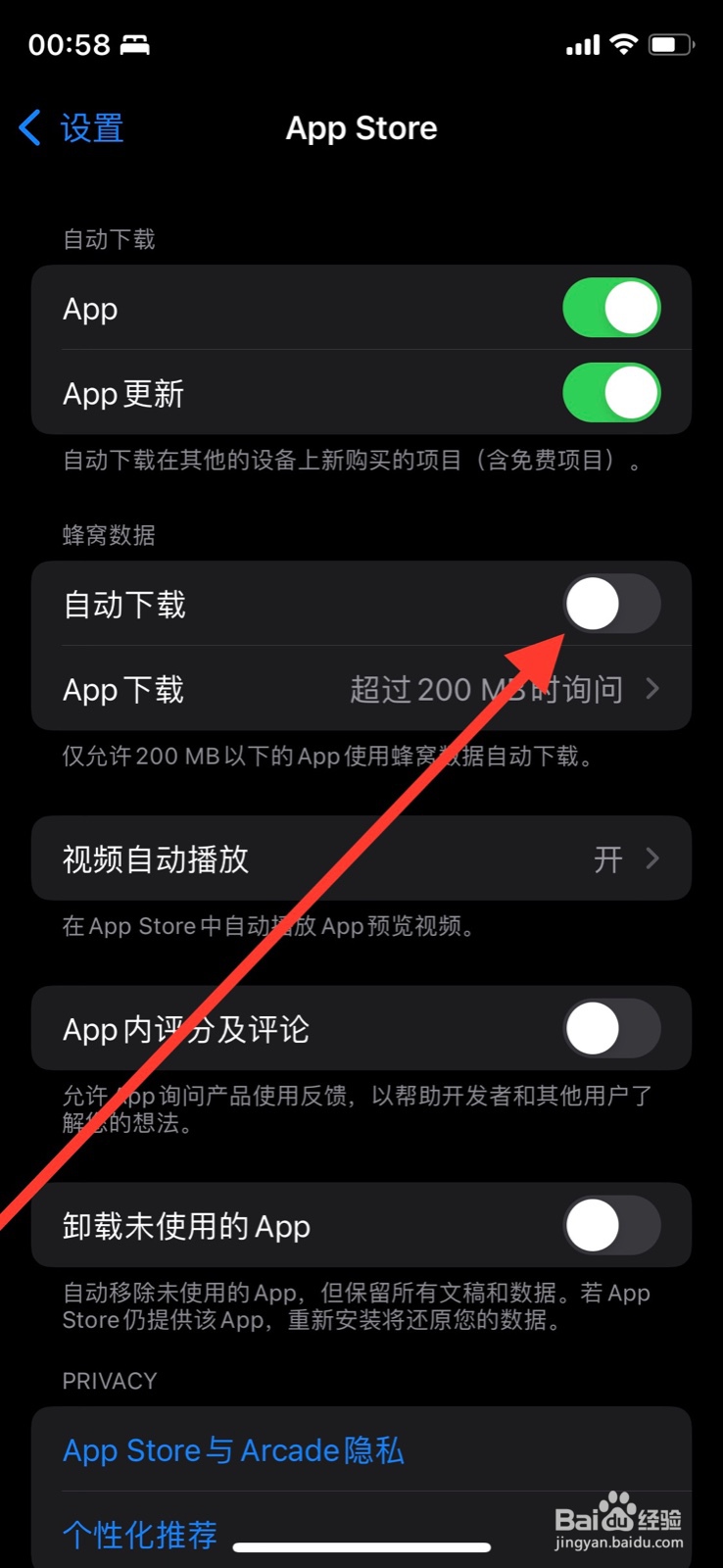 iPhone如何开启使用蜂窝数据自动下载app
