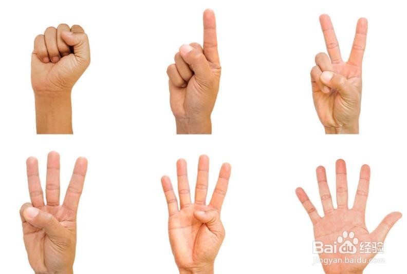 五个手指的特点和作用