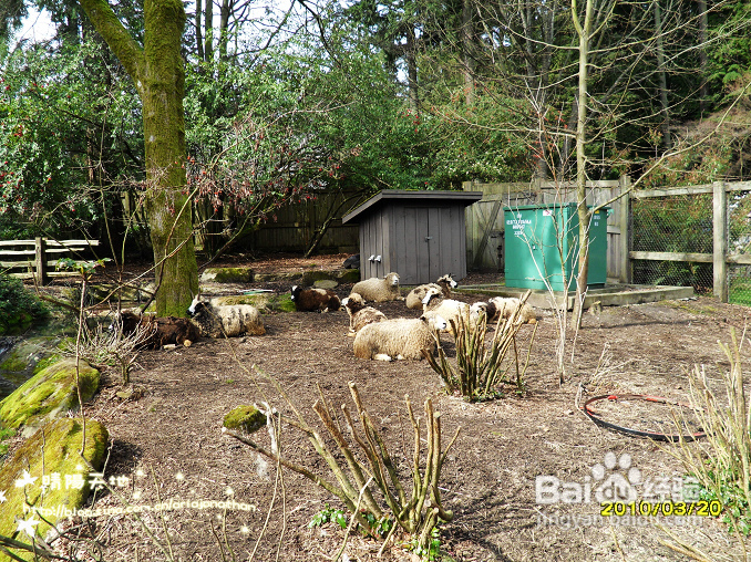 拾海的孩子&亲亲小动物(组图)