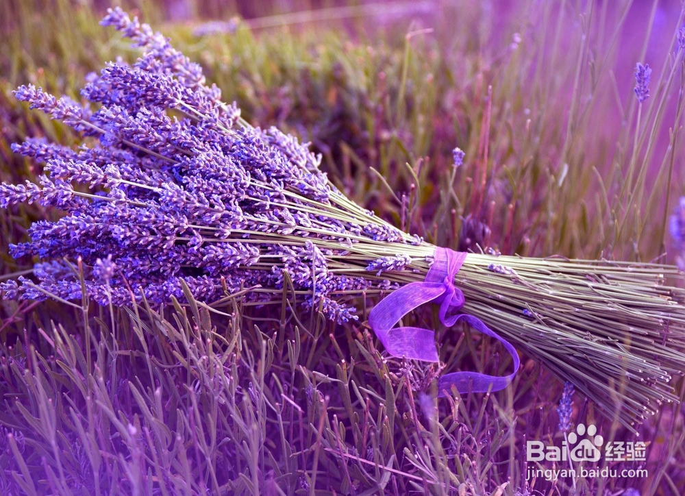 防蚊、驱蚊、灭蚊和止痒的方法有哪些