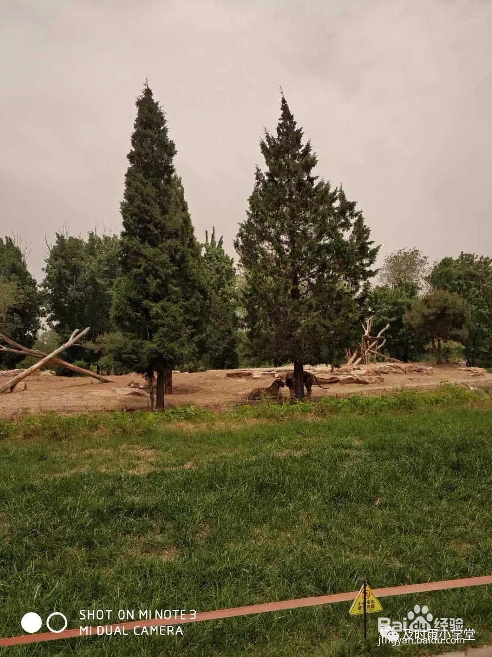 北京野生动物园一日游