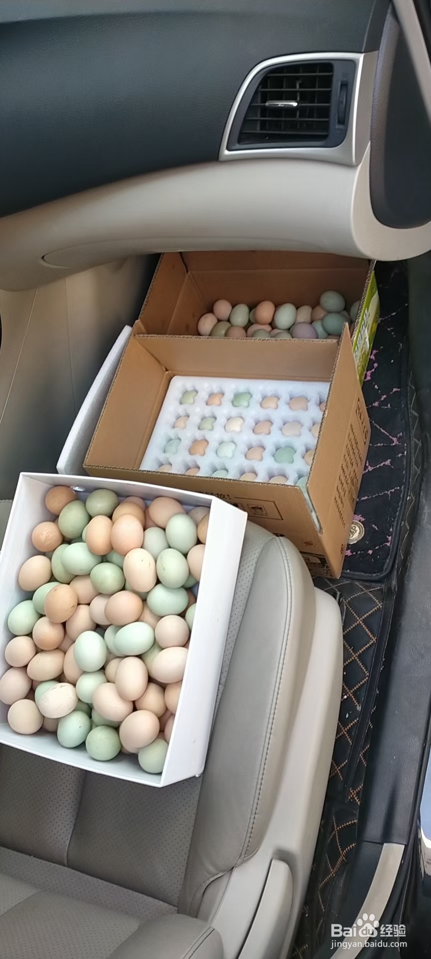 如何辨别土鸡蛋?