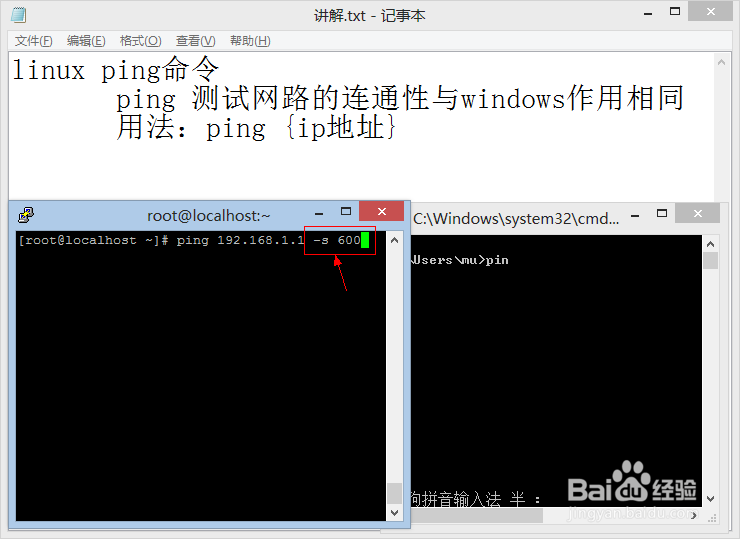linux命令大全：[9]ping命令