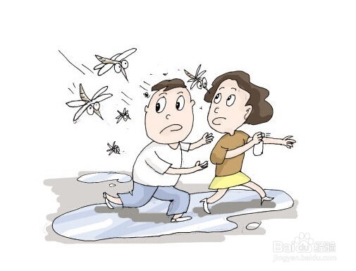 <b>容易惹蚊体质的人该怎么防蚊</b>