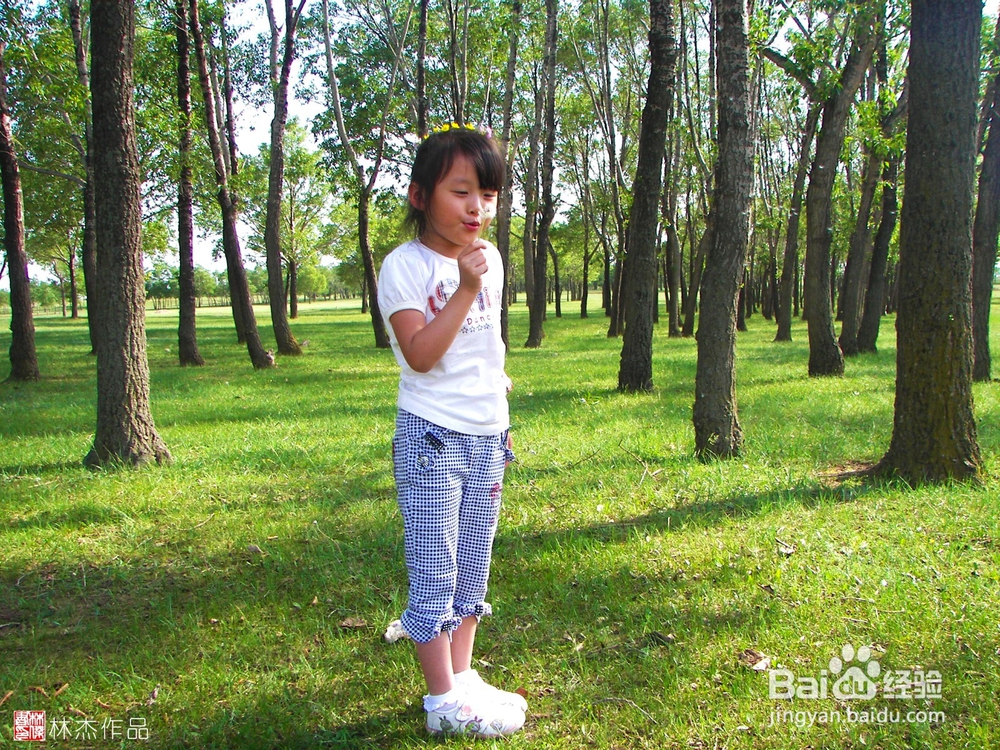 周末北京周边自驾游自由行摄影游线路攻略