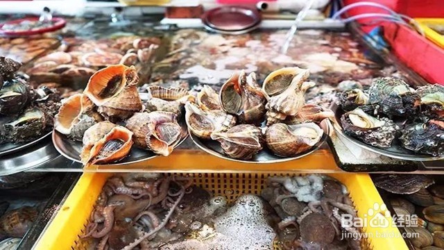 釜山行？—韩国釜山全攻略满足你的韩国釜山幻想