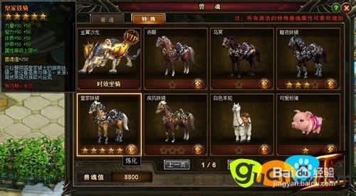 神曲2坐骑卡炼化玩法介绍