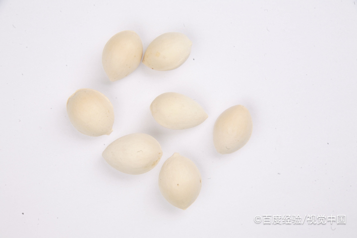 哺乳期能吃白果吗