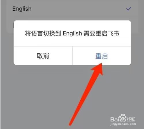 飞书在哪切换语言