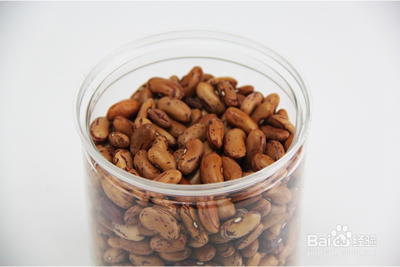 奶花芸豆如何出口