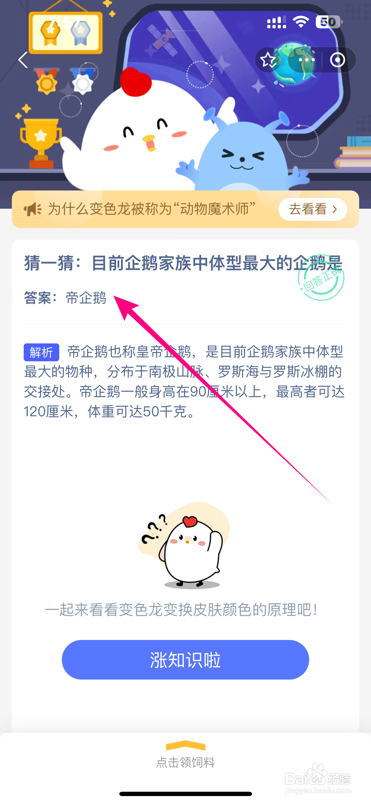 蚂蚁庄园9.4目前企鹅家族中体型最大的企鹅是?