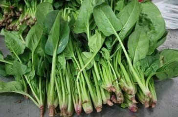 合理的膳食搭配4