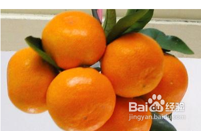 高血压吃什么好?