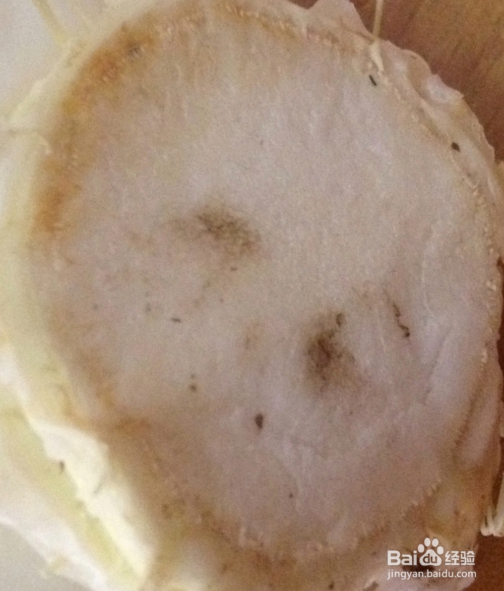 白菜花小盆景——怎样利用废弃物制作盆景