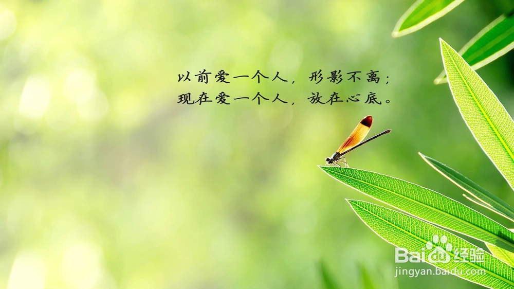 改变美妙人生的50个经典句子，你值得拥有！