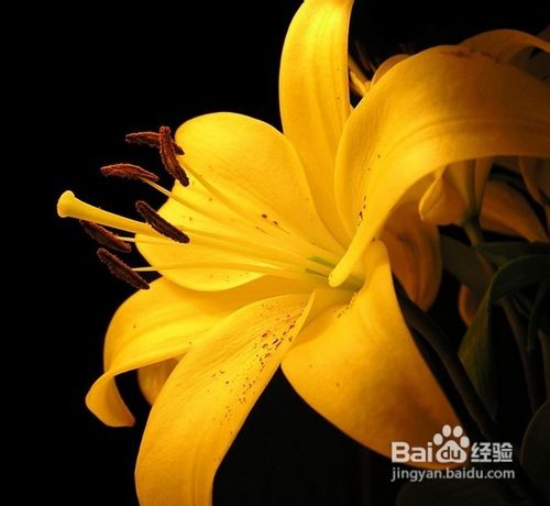 怎样找到真实自我乐活色彩人生