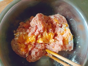 红烧狮子头
