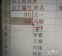 怎么在excel工作表中录入数字编号(二)