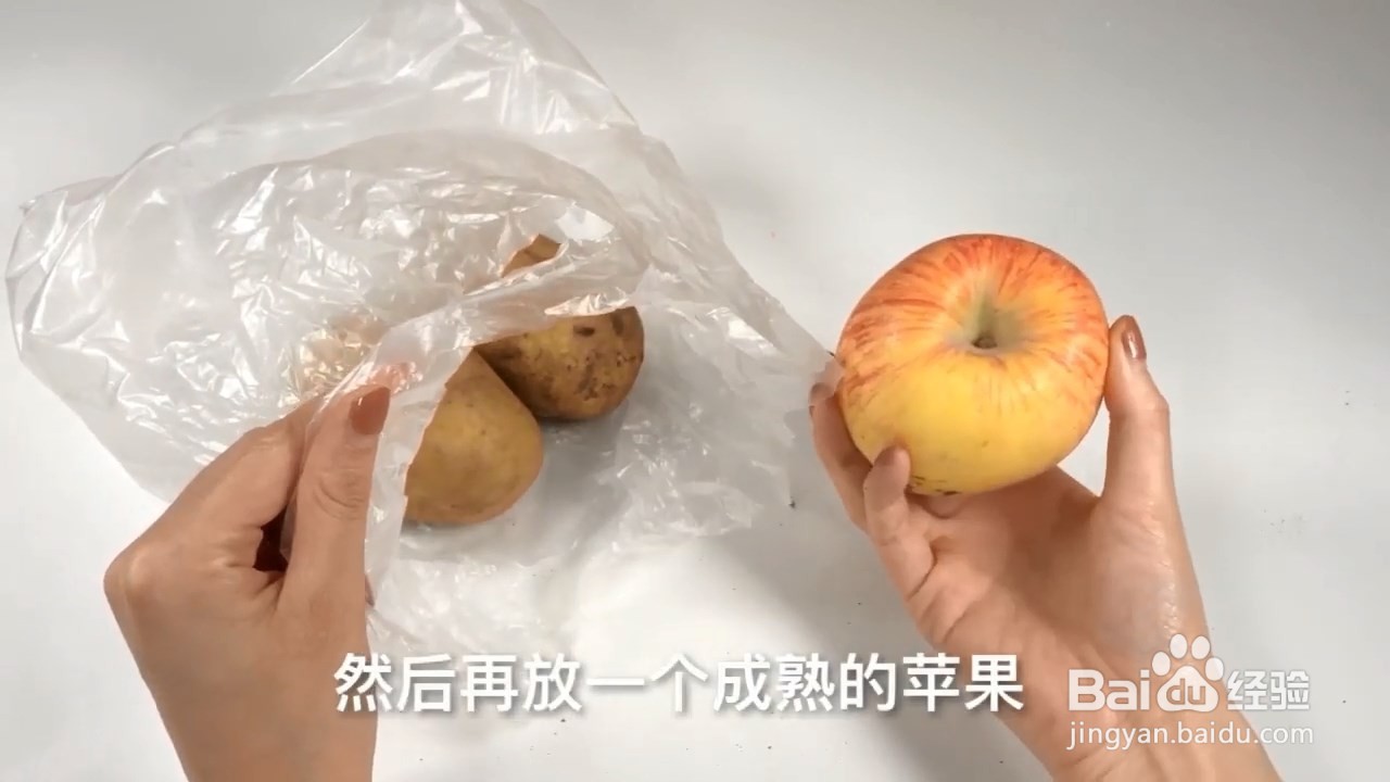 土豆怎么储存不发芽？教你个小窍门，一看就会