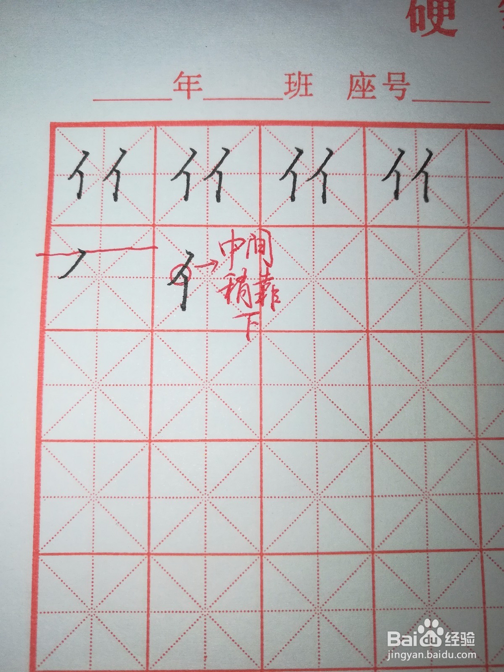 “单人旁”怎样写好看（硬笔楷书）