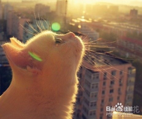 如何跳好“骑马舞”