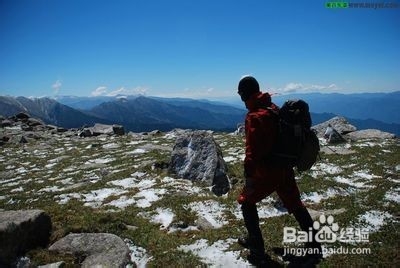 怎样高效读书的若干种方法