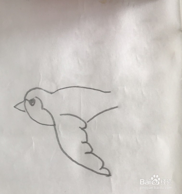 【简笔画】小燕子的分步画法