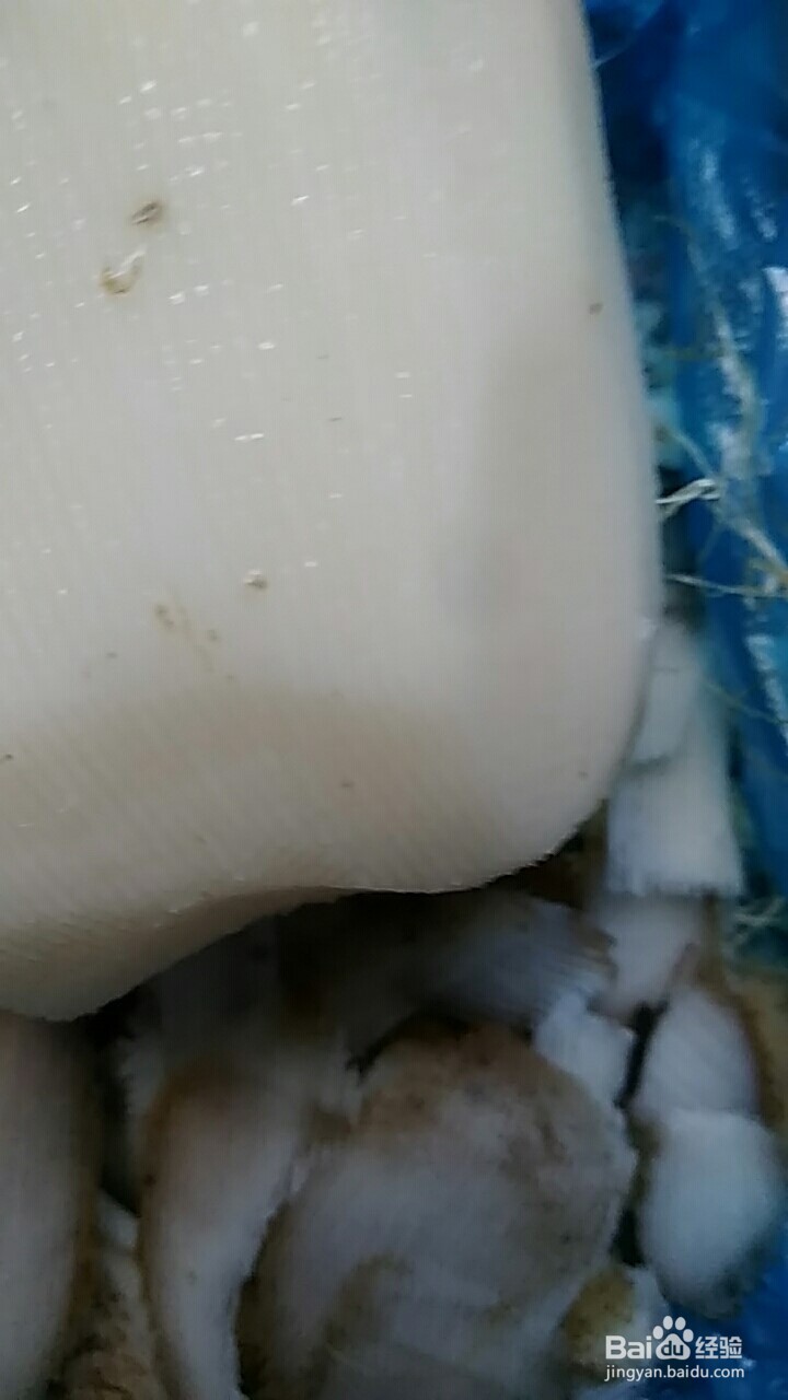 糖醋藕片的做法