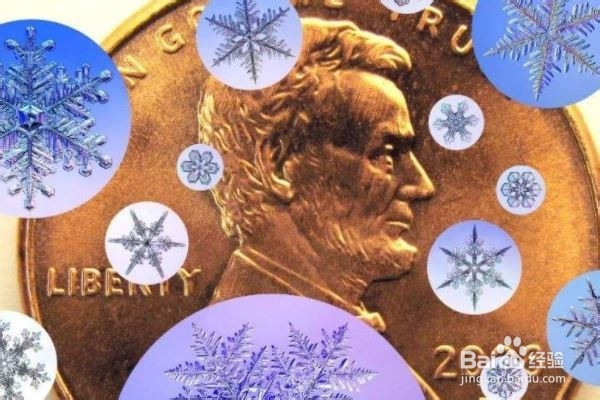 科学得出结论的方法