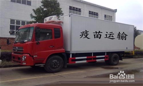 如何核查疫苗配送企业